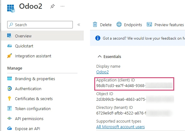 Application/Client ID در نمای کلی برنامه قرار دارد.