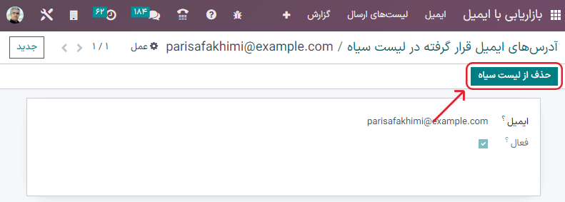 نمایی از فرم جزئیات تماس وارد شده به لیست سیاه در برنامه بازاریابی با ایمیل سازمان‌یار.