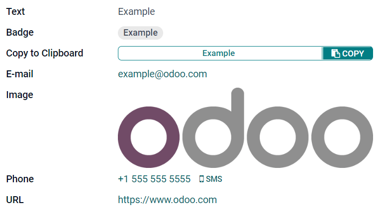 نمونه‌هایی از فیلدهای متنی با ابزارک‌های مختلف