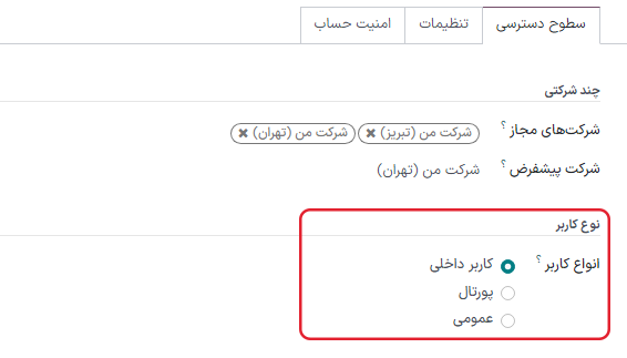 نمایی از فرم کاربر در حالت توسعه‌دهنده با تمرکز بر فیلد نوع کاربر.