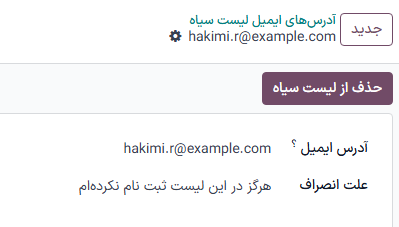 نمایی از فرم جزئیات تماس وارد شده به لیست سیاه در برنامه بازاریابی با ایمیل سازمان‌یار.