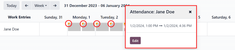 یک ردیف از مغایرت‌ها، که در یک رکورد جزئیات مغایرت نمایش داده شده است.