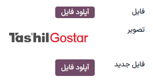 مثال‌هایی از فیلدهای فایل با ابزارک‌های مختلف