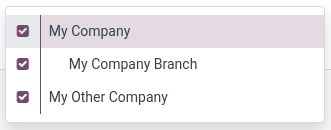 انتخاب شرکت اصلی و فعال‌سازی سایر شرکت‌ها.