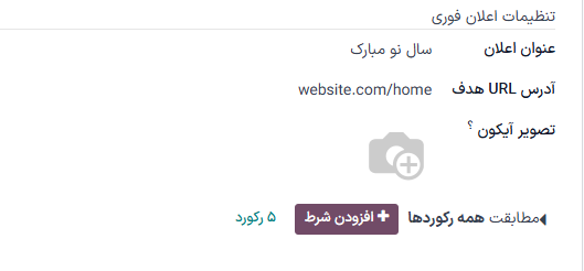 بخش تنظیمات اعلان فوری در فرم جزئیات شبکه اجتماعی.