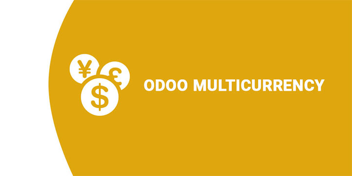 پشتیبانی از چند ارزی و چند شرکتی به صورت بومی